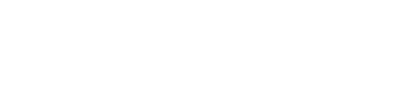 Prime Logo white